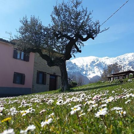 La Via Del Parco Villa Arsita Bagian luar foto