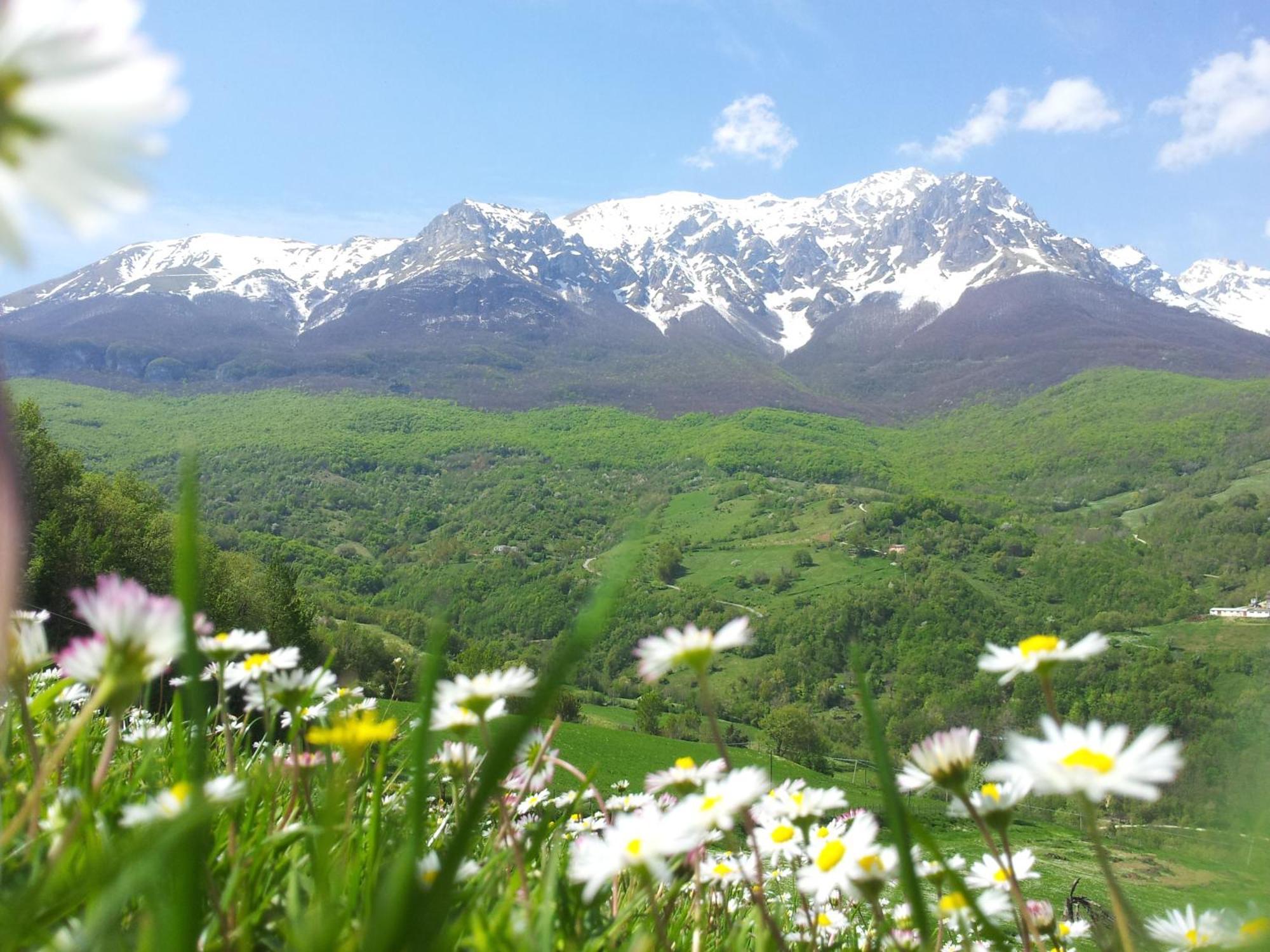 La Via Del Parco Villa Arsita Bagian luar foto