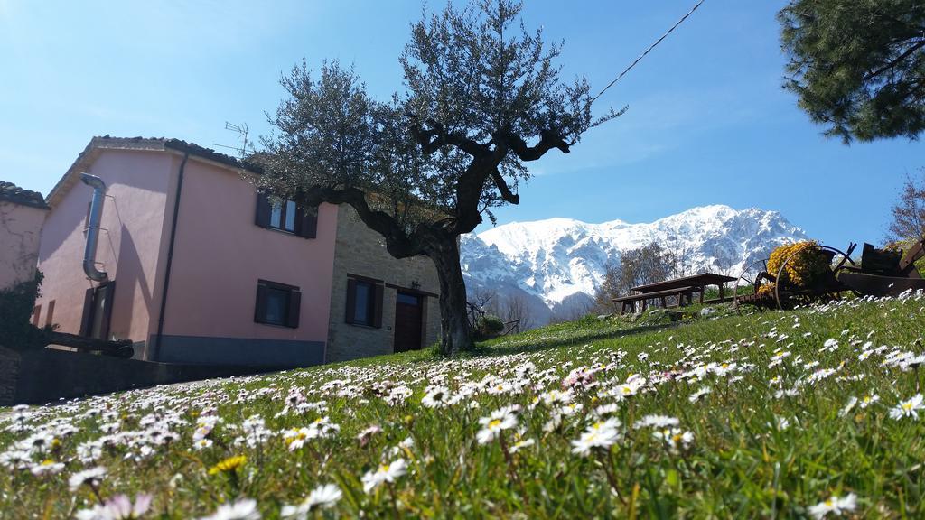 La Via Del Parco Villa Arsita Bagian luar foto